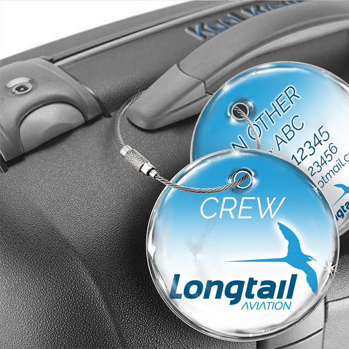 Longtail Aviation Logo Blue