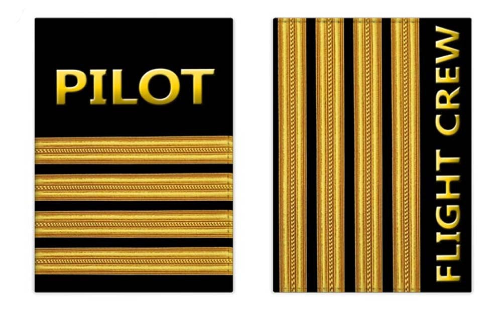 Pilot (4 Bars) Gold Passport Cover