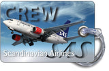 SAS Landscape B737 Silver Background