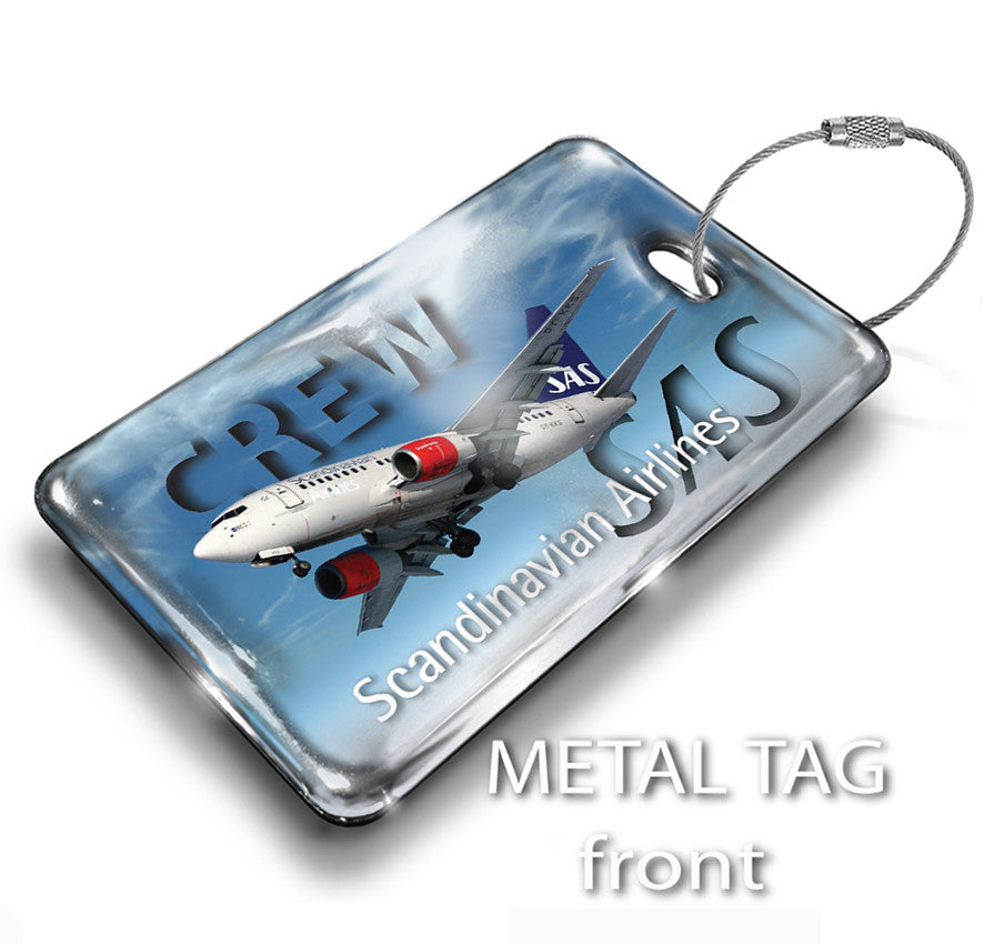 SAS Landscape B737 Silver Background