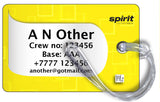 Spirit Airlines New Logo Gloss